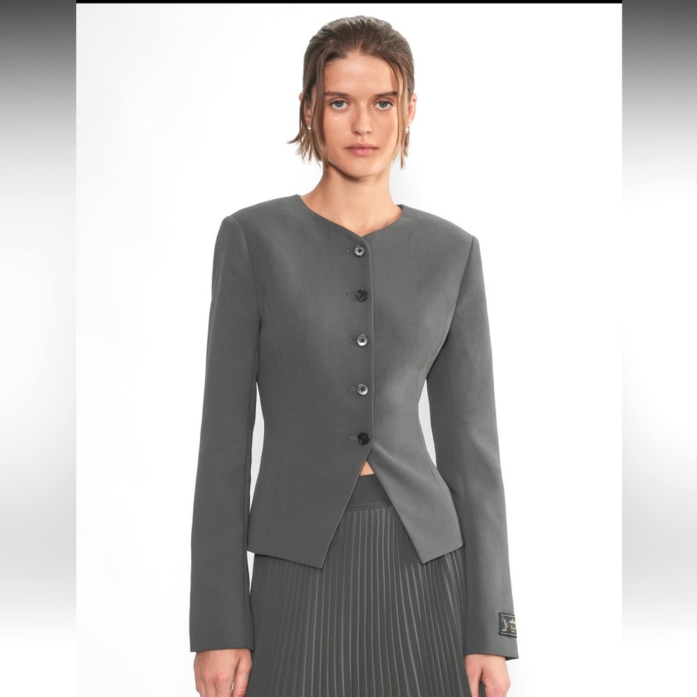 Aritzia Regal Blazer in Gray